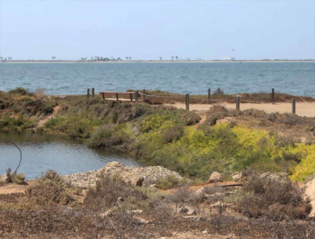 Living Coast Discovery Center - sweetwater marsh