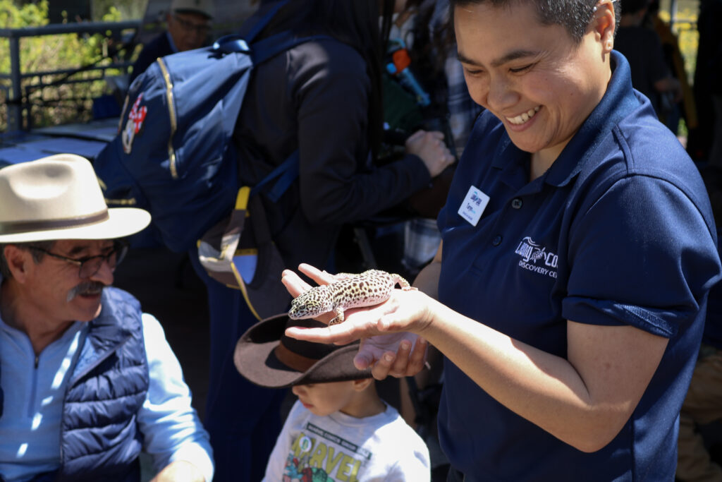 Gecko with keeper and guests